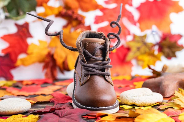 children\'s autumn shoes on bright autumn leaves. The concept of children\'s clothing for winter and autumn. Walks and sports. Space for text.