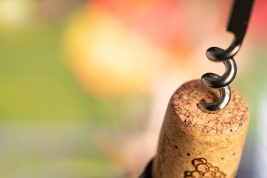Corkscrew pulls out a cork from the bottle of wine. Close-up, Blurred background. space for text.