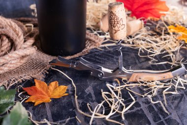 Sommelier knife with wine stopper on an old table with shavings and yellow leaves. Autumn and harvest concept. Space for text.