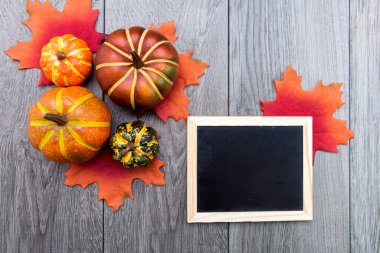 Balkabakları ve yaprakları gri masanın üzerine koyun. Metin için yazı tahtası. Yukarıdan görünüm.