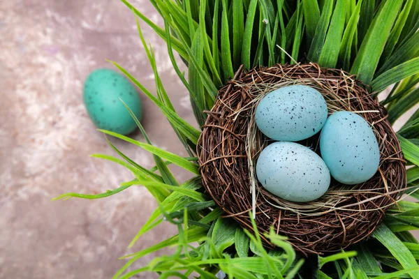 Easter turquoise eggs in a bird\'s nest close-up on green grass, top view. Happy Easter holiday. Close-up, selective focus. Space for text.