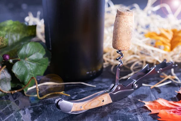 Corkscrew Cork Bottle Old Wine Autumn Harvest Concept — Stock fotografie