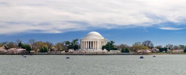 Washington 'daki Jefferson Memorial' da kiraz çiçekleri. Seçici odak.