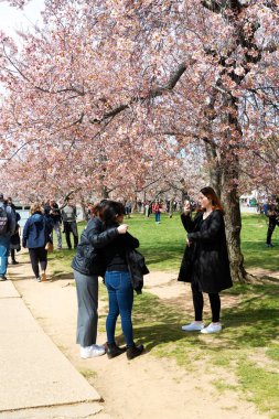 Washington Vatandaşları ve Ziyaretçileri Jefferson Memorial 'daki Gelgit Havuzu' nda Kiraz Çiçeğini Kutluyor
