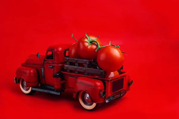 Red Retro Pickup Truck Carries Fresh Tomatoes Red Background Harvesting — Stock Photo, Image