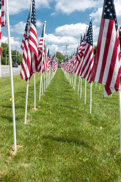 stock image American flags displaying on Memorial Day. Patriotic American Flag in Nature