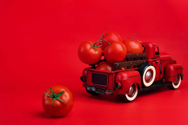Red Retro Pickup Truck Fresh Tomatoes Red Background Harvesting Ketchup — Stock Photo, Image