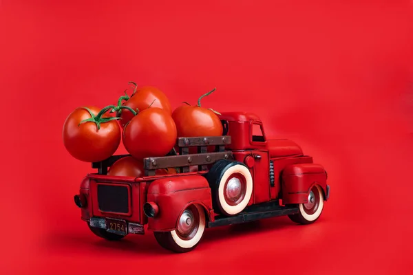 Red retro pickup truck carries fresh tomatoes on a red background, harvesting, and creative presentation of the product.