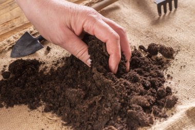 Kadının eli toprağı çiçek dikmek için hazırlıyor..