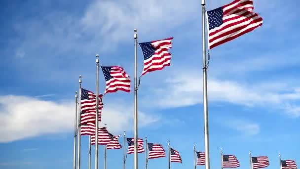 Banderas Americanas Ondeando Viento Contra Cielo Azul — Vídeo de stock