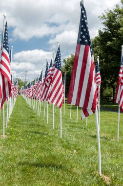 Amerikan bayrakları anma günü görüntüleme
