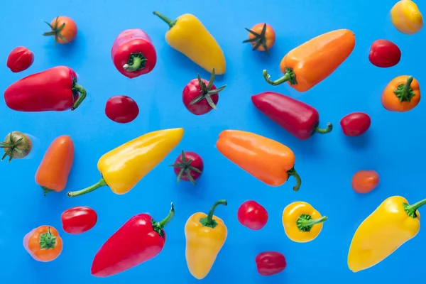 Mavi arka planda düşmüş dolmalık biber ve domates. Uçan renkli tatlı biberler. Pankart. Ambalaj tasarımı için sebze deseni. Sağlıklı yemek..