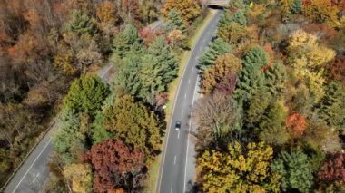 Sonbahar ormanındaki işlek otoyolun havadan görünüşü. Güneşli bir günde renkli ağaçlar.