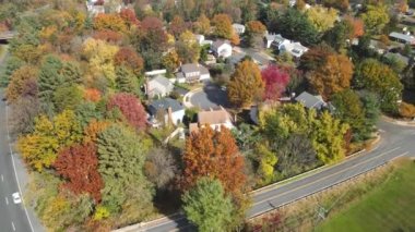 Amerikan banliyösünün hava aracı görüntüsü. Sokaklar ve yollar tek aile evleri. Sonbahar renkleri, sonbahar mevsimi, sarı ve kırmızı renkli ağaçlar..