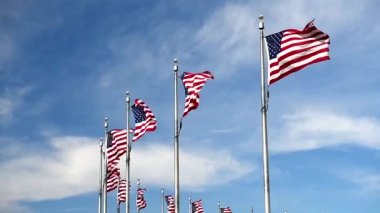 Mavi gökyüzünde dalgalanan Amerikan bayrakları.
