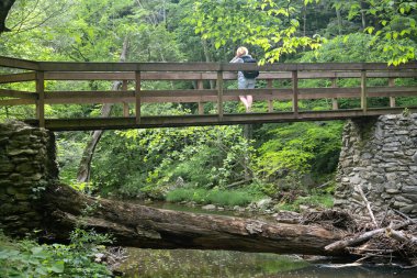 Sırt çantalı bir kadın turist ormandaki bir dağ nehrinin karşısındaki tahta bir köprüde duruyor..