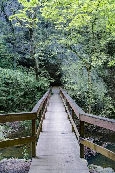 wooden walking bridge over a stream in a green summer forest.