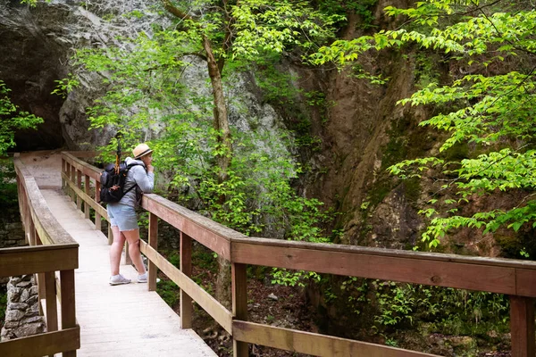 Woman Tourist Hat Backpack Stands Wooden Bridge Mountain River Forest — Stock Photo, Image
