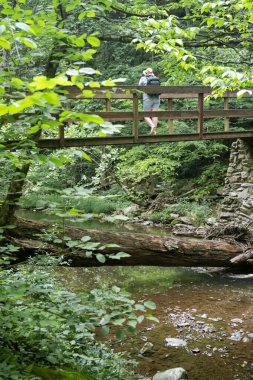 Sırt çantalı bir kadın turist ormandaki bir dağ nehrinin karşısındaki tahta bir köprüde duruyor..