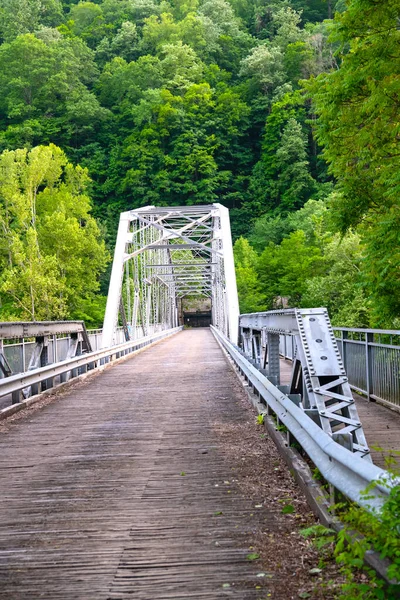Brücke Über Eine Schlucht Und Einen Fluss New River Gorge — Stockfoto