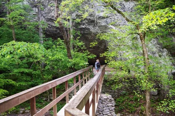 背着背包在林子里走过木桥的徒步旅行者 — 图库照片