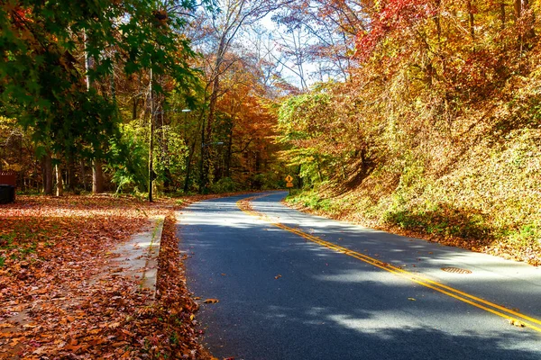 Camino Del Automóvil Bosque Otoño Colores Otoñales Árboles Coloridos Día —  Fotos de Stock