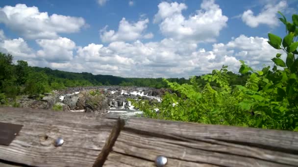 Raue Ströme Des Potomac Flusses Fließen Zwischen Felsen Virginia Nationalpark — Stockvideo