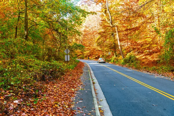 Carretera Pasa Través Pintorescos Árboles Follaje Otoño Virginia —  Fotos de Stock