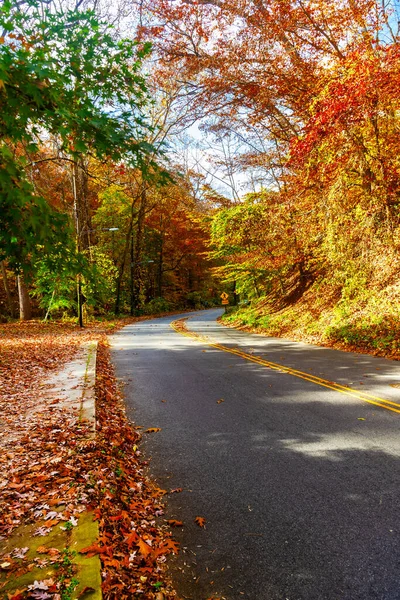 秋天森林里的空车路 艳阳天 五彩缤纷的树的秋天色彩 — 图库照片