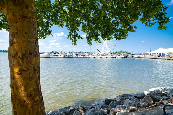 Marina Jachtami Ferris Molo Potomac River National Harbor Maryland — Zdjęcie stockowe