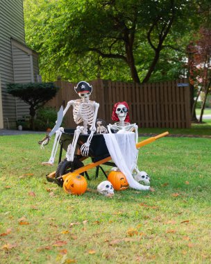 Cadılar Bayramı için ön bahçedeki dekorasyonlar. Balkabağı ve kafatası iskeletleri.