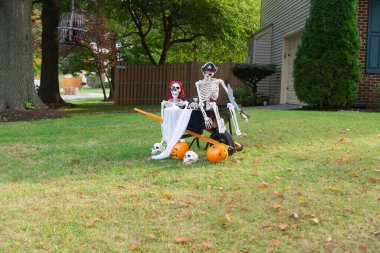 İskeletler, balkabakları ve kafatasları Amerika 'da Cadılar Bayramı' nın geleneksel özellikleridir. Cadılar Bayramı partisi için ön bahçe dekorasyonu.