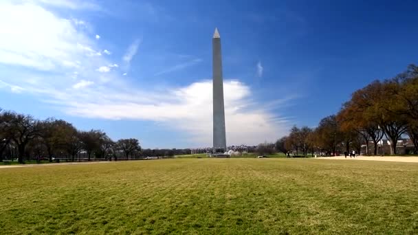 워싱턴 블루는 가을의 워싱턴 기념비 앞에서 깃발을 흔들며 — 비디오