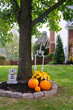 Skeletons, pumpkins and skulls are traditional attributes of Halloween in America. Frontyard decoration for Halloween party. clipart