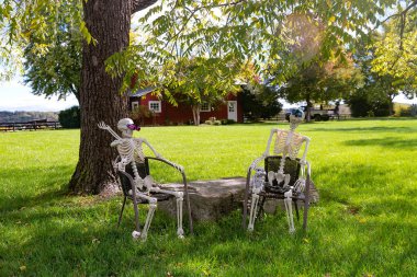 İskeletler ve kafatasları, Amerika 'da Cadılar Bayramı' nın geleneksel özellikleridir. Mutlu Cadılar Bayramı için ön bahçe dekorasyonu.