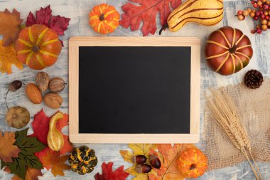 Balkabağı, yaprak ve buğday yapraklarından yapılan şenlikli sonbahar dekoru. Şükran Günü ya da Cadılar Bayramı kavramı. Metin için çerçeve ile sonbahar kompozisyonu yatıyordu.