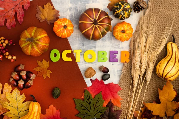パンプキン 秋の葉 ベージュの背景に小麦のスパイシーツ Octoberについて フラットレイ トップビュー — ストック写真
