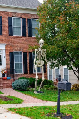 İskeletler ve kafatasları, Amerika 'da Cadılar Bayramı' nın geleneksel özellikleridir. Mutlu Cadılar Bayramı için ön bahçe dekorasyonu.