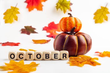 Şenlikli sonbahar konsepti. Beyaz arka planda renkli sonbahar yaprakları, balkabakları, mısır ve kemik küplerinden yapılmış OCTOBER yazılıdır..