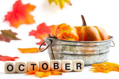 Metal bir kasede renkli balkabakları ve beyaz arka planda parlak sonbahar yaprakları. Oktoberer yazısında kemik küplerinden yapılmış. Metin için boşluk