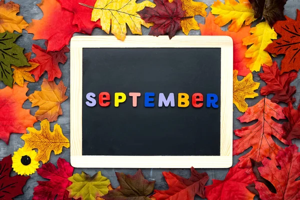 September Inscriptie Krijtbord Liggend Gekleurde Herfstbladeren Hallo Herfst Terug Naar — Stockfoto