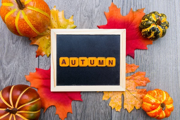 オートミュン カボチャと秋の葉を持つ灰色のテーブルの文字を持つキューブ 上からの眺め — ストック写真