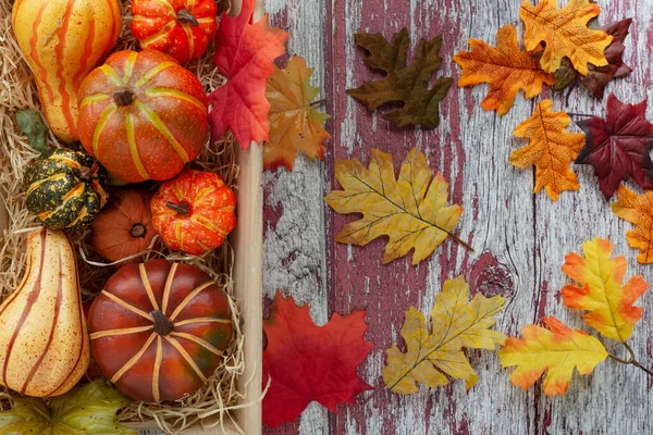 Jesienny Kolorowy Dynia Opadły Liść Teksturowany Drewniany Tło Widok Góry — Zdjęcie stockowe