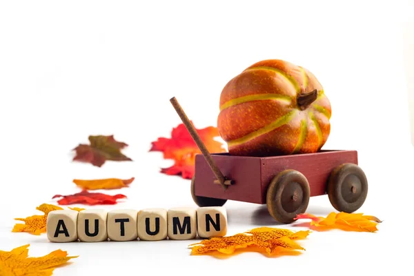 Houten Kar Met Pompoen Witte Ondergrond Het Woord Autumn Verzameld — Stockfoto