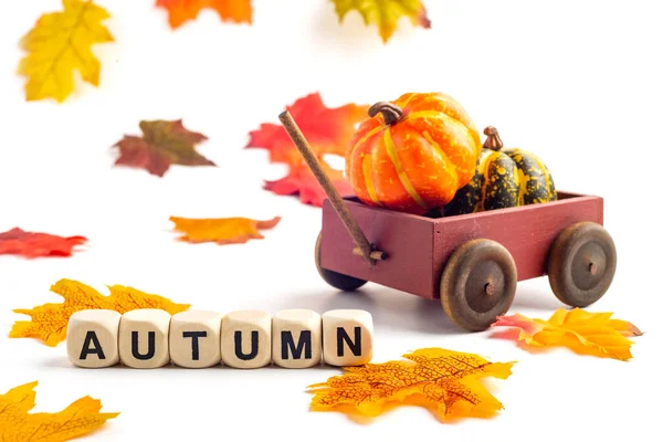 Carrello Legno Con Una Zucca Sfondo Bianco Parola Autumn Raccolta — Foto Stock