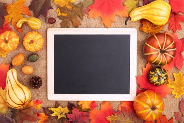 Çerçeve renkli sonbahar yapraklarının üzerinde duruyor. Kabaklarla, fındıklarla, buğday kulaklarıyla çevrili. Merhaba sonbahar, okula dönüş, hasat konsepti, düz yatak. Metin için boşluk.