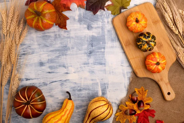 秋のコンポジション カボチャ 小麦のパターンがテーブルの上に置かれている フラットレイ トップビュー — ストック写真