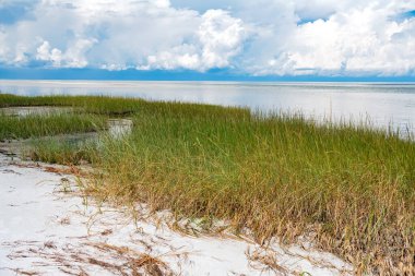 Kuzey Carolina 'da Atlantik Okyanusu' nda çimenli kum tepeleri.