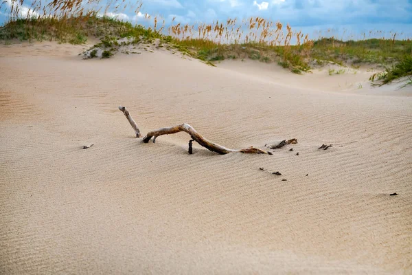Пісок Морська Трава Хмари Дюни Березі Атлантичного Океану — стокове фото