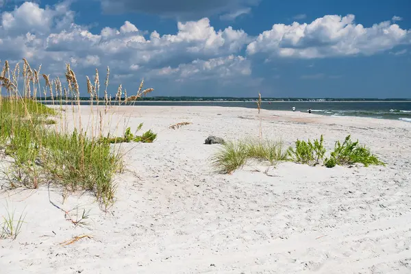 Písečné Duny Trávou Pláží Atlantském Oceánu Severní Karolíně — Stock fotografie